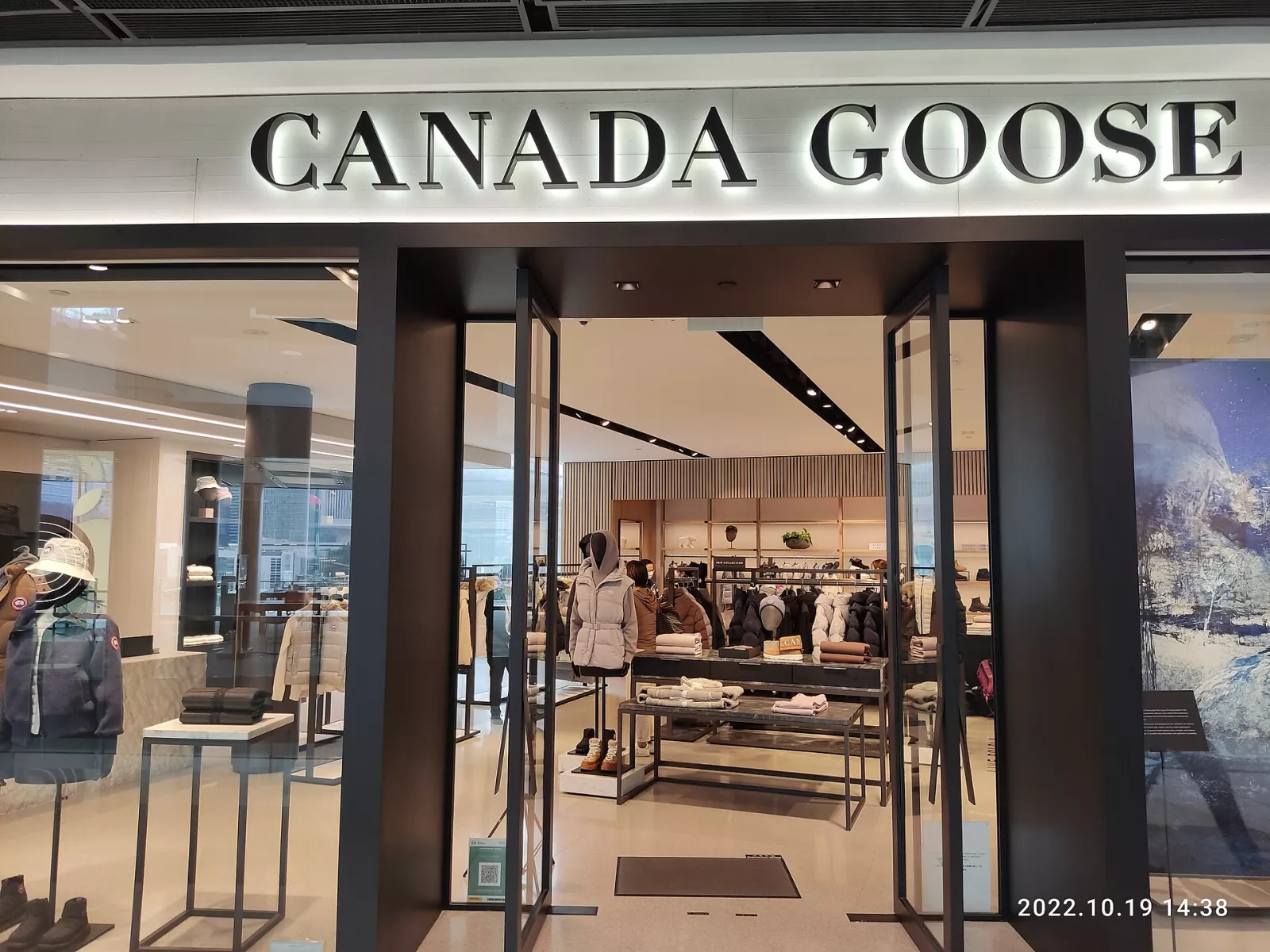 Canada Goose