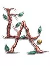 Life Art Creations logo