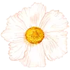 Freija Collective logo