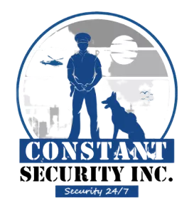 Constant Security logo