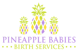 Pineapple Babies Birth Services logo