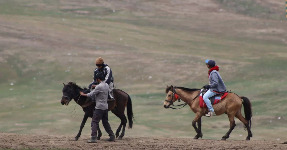 Bakas Equestrian Center