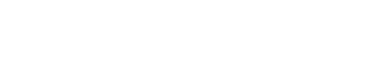 Nemer Fieger logo
