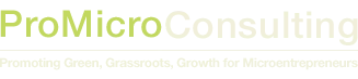 ProMicro Consulting LLC logo