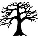 Poplar Grove Counseling logo