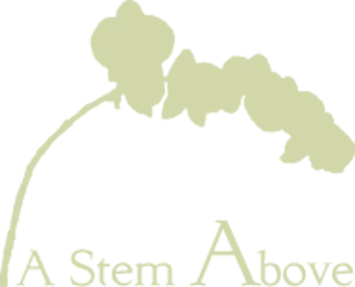 A Stem Above logo