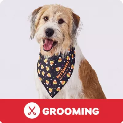PetSmart logo