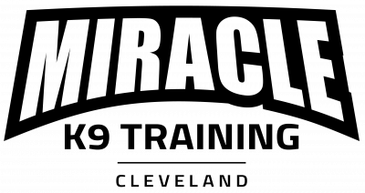 Miracle K9 Training logo