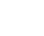 Five Stone NYC logo