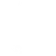 Associated Beth Rivkah Schools logo