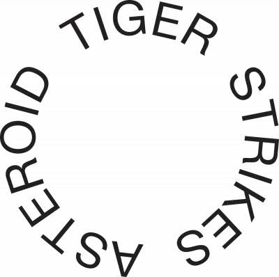 Tiger Strikes Asteroid New York logo
