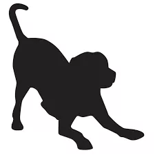 A Happy Dog Day Camp and Boarding logo