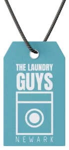 The Laundry Guys logo