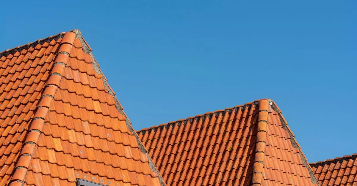 Payne Roofing