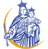 Salesian Youth Ministry Chicago logo
