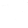 Polish American Association logo