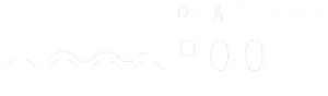 Platinum Pools logo