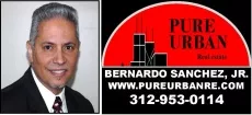 Pure Urban Real Estate logo