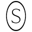 Skylight at Essex Crossing logo