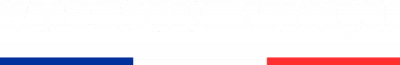 Vin Sur Vingt logo
