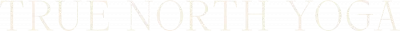 True North Yoga logo