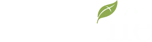New Life Fellowship logo