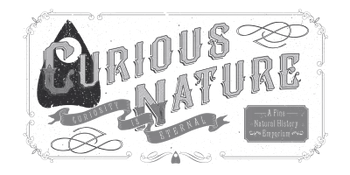 Curious Nature logo