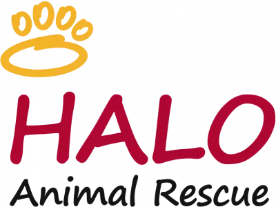 HALO Animal Rescue Thrift Boutique logo