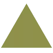 Vital Family Chiropractic logo