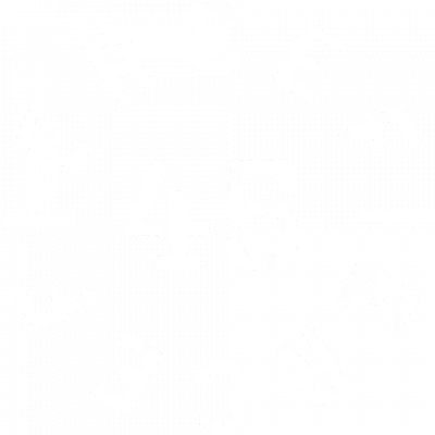Fierce45 logo