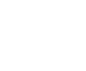 Meso logo