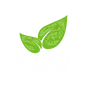 Itality: Plant Based Foods logo