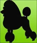Salon Dog logo