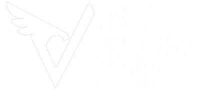Valko Jiu Jitsu Studio logo