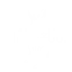 Hare and Co Salon logo