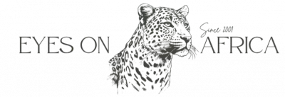 Eyes On Africa logo