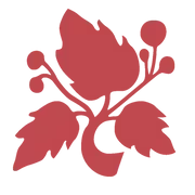 Augustyn Family Services logo