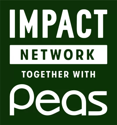 Impact Network International logo