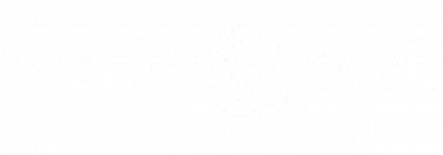 Transfotech Academy logo