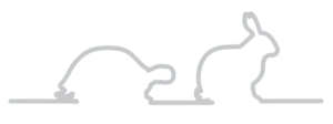 Hurricane Charters Guide Service logo