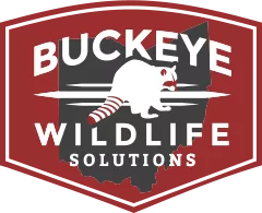 Buckeye Wildlife Solutions logo