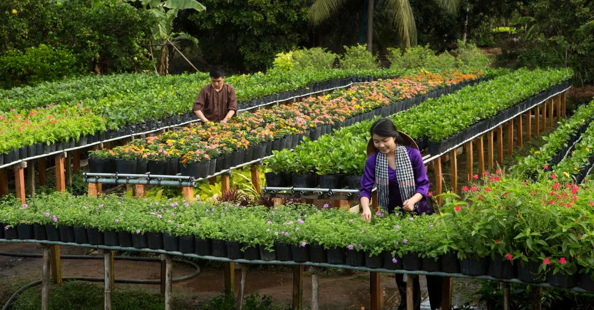 B.A. Florist & Nursery