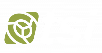 TSI logo