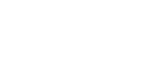 The Space Next Door logo