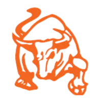 BullStone logo