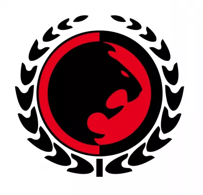 Panthers Martial Arts Taekwondo logo