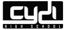 Community Youth Development Institute logo