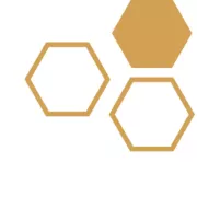 The Hive: Chicago's Beekeeping Supply Store logo