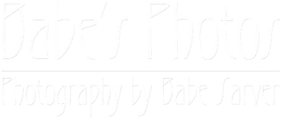 Babe's Photos logo