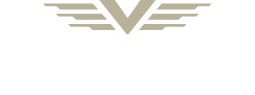 Village Automotive Group logo